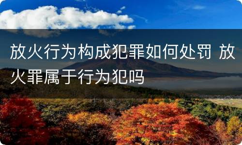 放火行为构成犯罪如何处罚 放火罪属于行为犯吗