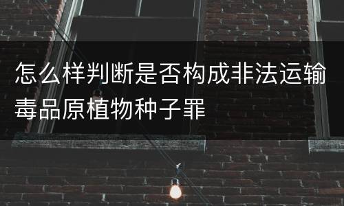 怎么样判断是否构成非法运输毒品原植物种子罪