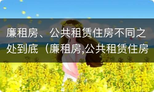 廉租房、公共租赁住房不同之处到底（廉租房,公共租赁住房不同之处到底怎么办）