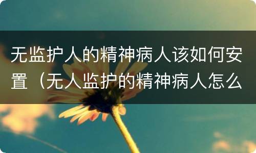 无监护人的精神病人该如何安置（无人监护的精神病人怎么处理）