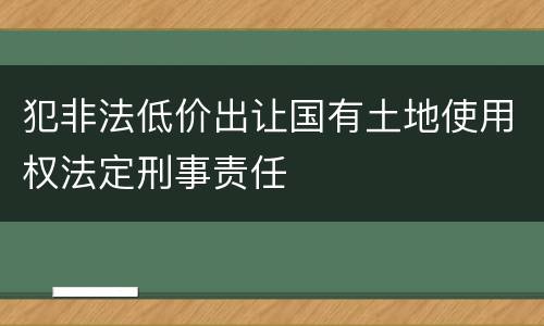 犯非法低价出让国有土地使用权法定刑事责任
