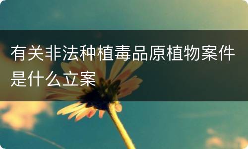 有关非法种植毒品原植物案件是什么立案