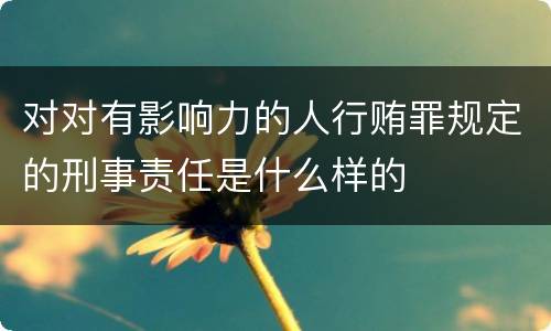 对对有影响力的人行贿罪规定的刑事责任是什么样的