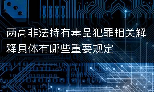 两高非法持有毒品犯罪相关解释具体有哪些重要规定