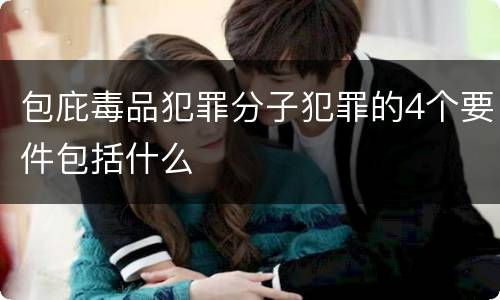 包庇毒品犯罪分子犯罪的4个要件包括什么