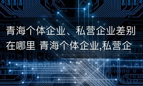 青海个体企业、私营企业差别在哪里 青海个体企业,私营企业差别在哪里查