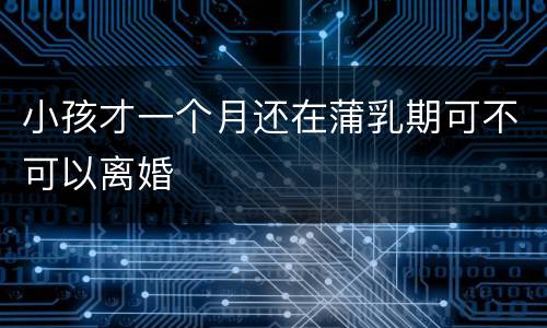 小孩才一个月还在蒲乳期可不可以离婚