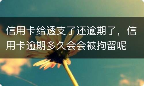 信用卡给透支了还逾期了，信用卡逾期多久会会被拘留呢