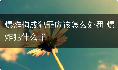 爆炸构成犯罪应该怎么处罚 爆炸犯什么罪