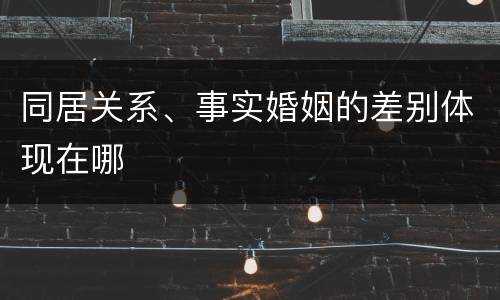 同居关系、事实婚姻的差别体现在哪