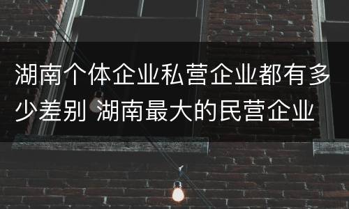 湖南个体企业私营企业都有多少差别 湖南最大的民营企业