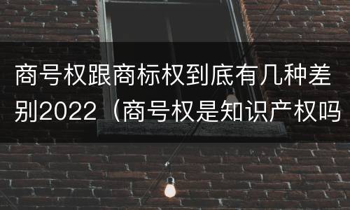 商号权跟商标权到底有几种差别2022（商号权是知识产权吗）