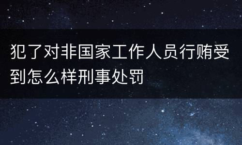 犯了对非国家工作人员行贿受到怎么样刑事处罚