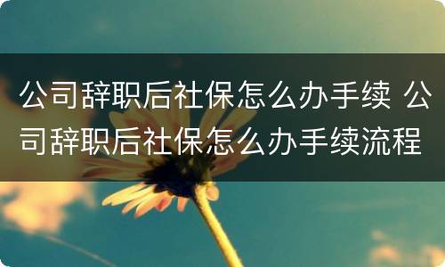 公司辞职后社保怎么办手续 公司辞职后社保怎么办手续流程