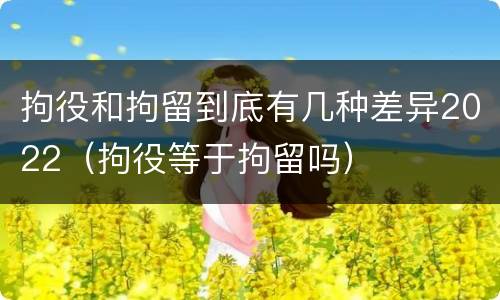 拘役和拘留到底有几种差异2022（拘役等于拘留吗）