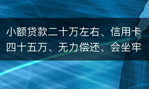 小额贷款二十万左右、信用卡四十五万、无力偿还、会坐牢