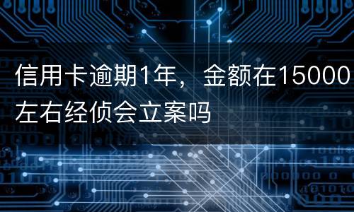 信用卡逾期1年，金额在15000左右经侦会立案吗