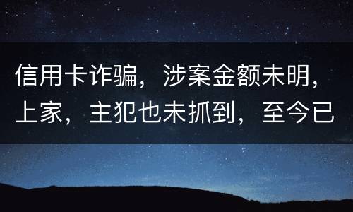 信用卡诈骗，涉案金额未明，上家，主犯也未抓到，至今已有5天，请问可以申请取保吗