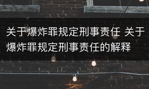 关于爆炸罪规定刑事责任 关于爆炸罪规定刑事责任的解释