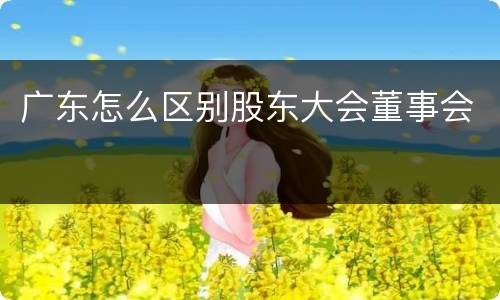 广东怎么区别股东大会董事会