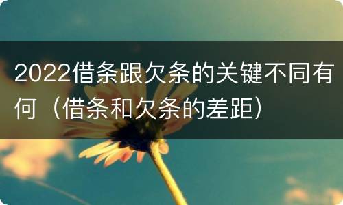 2022借条跟欠条的关键不同有何（借条和欠条的差距）