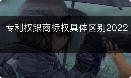 专利权跟商标权具体区别2022