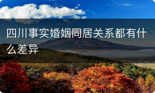 四川事实婚姻同居关系都有什么差异