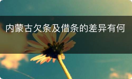 内蒙古欠条及借条的差异有何