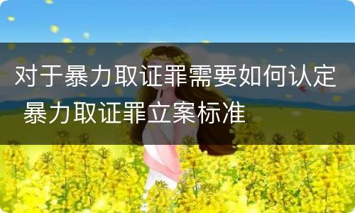 对于暴力取证罪需要如何认定 暴力取证罪立案标准
