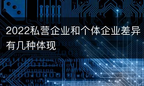 2022私营企业和个体企业差异有几种体现