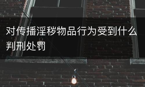对传播淫秽物品行为受到什么判刑处罚