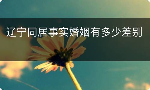 辽宁同居事实婚姻有多少差别