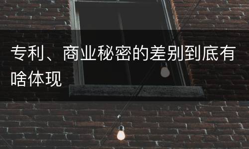 专利、商业秘密的差别到底有啥体现
