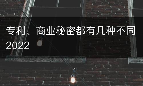 专利、商业秘密都有几种不同2022