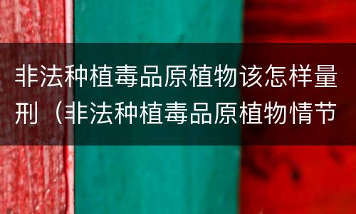 非法种植毒品原植物该怎样量刑（非法种植毒品原植物情节较轻是多少）
