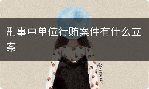 刑事中单位行贿案件有什么立案