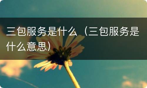 三包服务是什么（三包服务是什么意思）