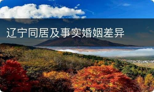 辽宁同居及事实婚姻差异