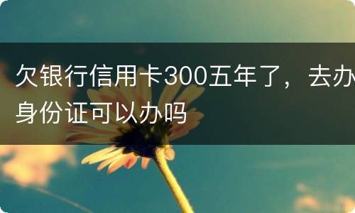 欠银行信用卡300五年了，去办身份证可以办吗