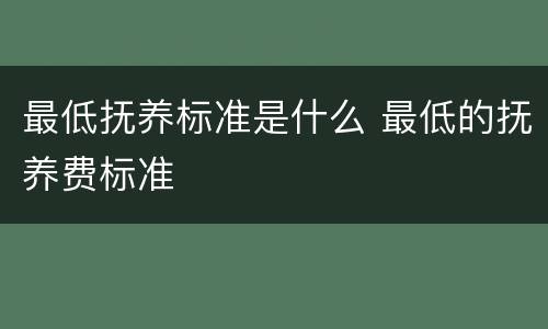 最低抚养标准是什么 最低的抚养费标准