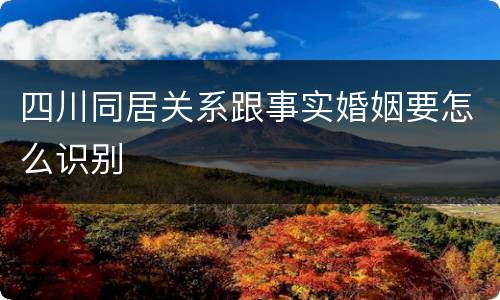 四川同居关系跟事实婚姻要怎么识别