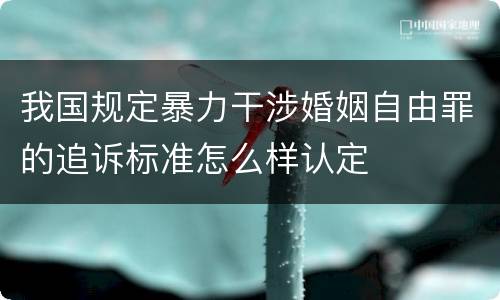 我国规定暴力干涉婚姻自由罪的追诉标准怎么样认定