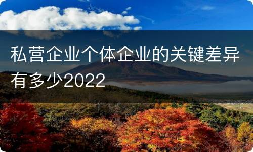 私营企业个体企业的关键差异有多少2022