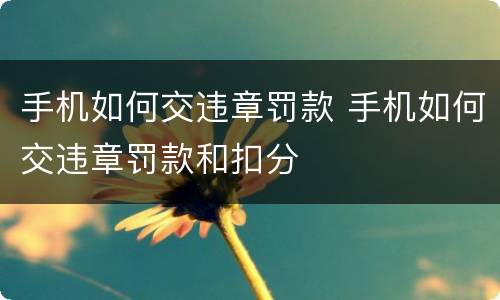 手机如何交违章罚款 手机如何交违章罚款和扣分