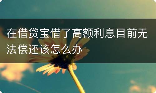 在借贷宝借了高额利息目前无法偿还该怎么办