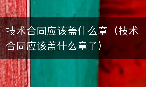 技术合同应该盖什么章（技术合同应该盖什么章子）