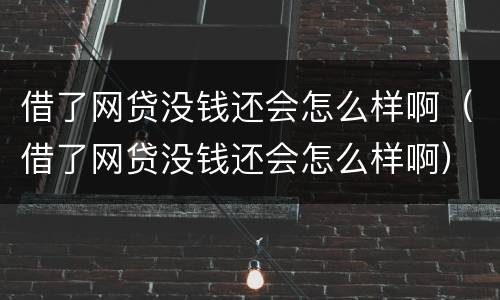 借了网贷没钱还会怎么样啊（借了网贷没钱还会怎么样啊）