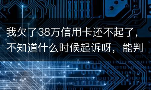 我欠了38万信用卡还不起了，不知道什么时候起诉呀，能判刑几年