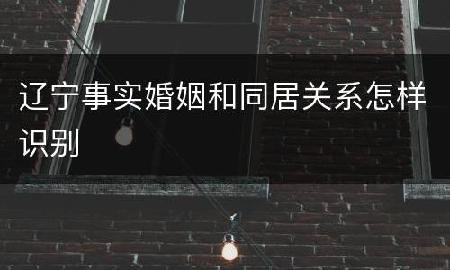 辽宁事实婚姻和同居关系怎样识别
