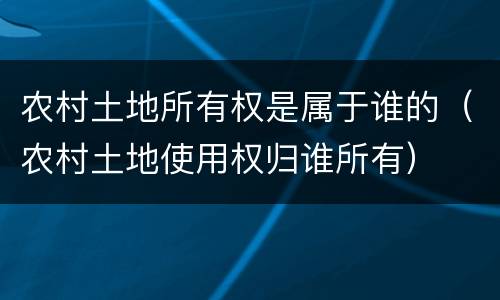 农村土地所有权是属于谁的（农村土地使用权归谁所有）